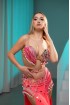 Professional bellydance costume (Classic 419A_1s)